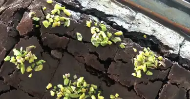 Nefis Kakaolu Islak Kek Tarifi