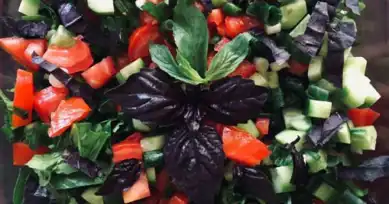 Reyhanlı Yaz Salatası Tarifi