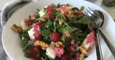 Lezzetli Vişneli Semizotu Salatası Tarifi