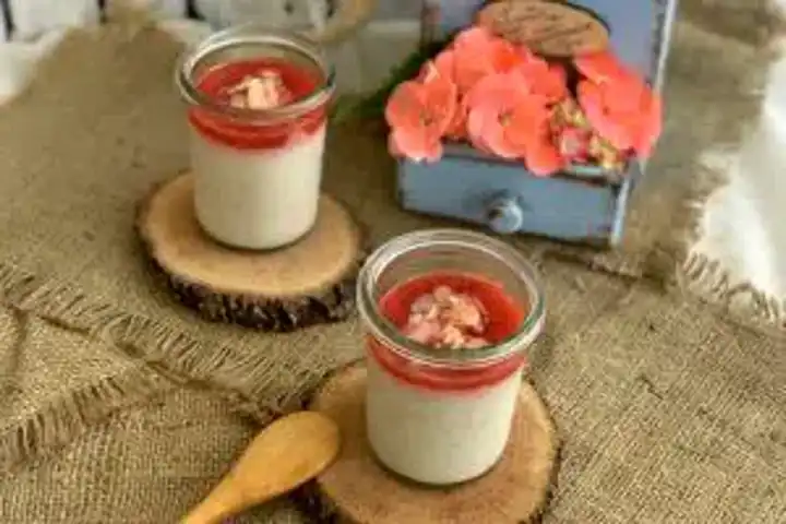 Nefis Vegan Hindistan Cevizli Puding Tarifi