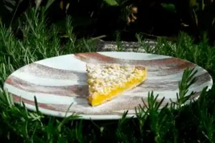 Nefis Portakallı Turta Tarifi