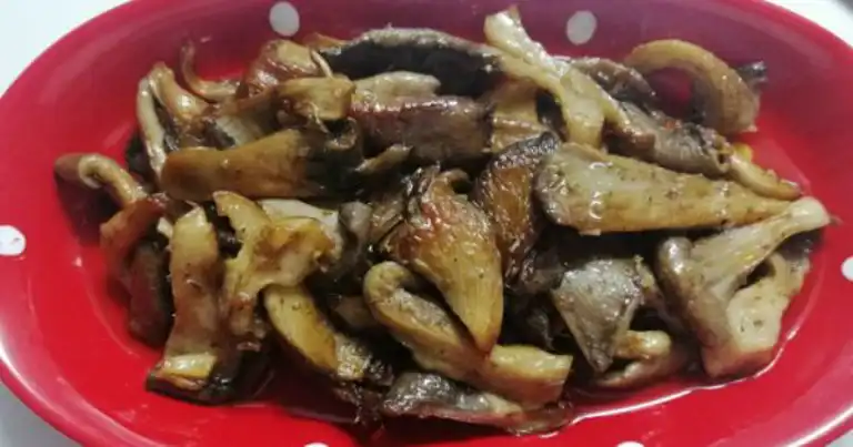 Nefis İstiridye Mantarı Sotesi Tarifi